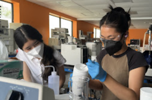 MYCC members doing hands-on lab research